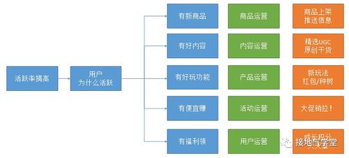 數(shù)據(jù)分析如何推動(dòng)在線(xiàn)數(shù)據(jù)處理與交易處理業(yè)務(wù)發(fā)展